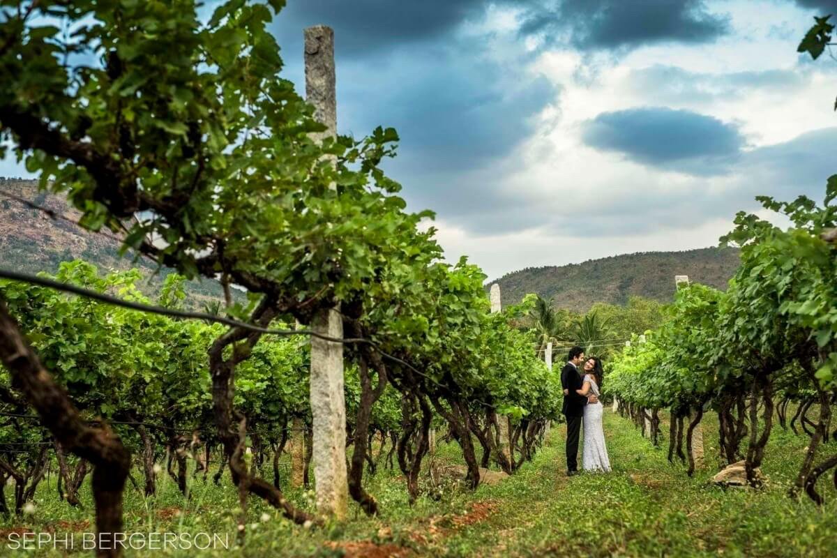 vineyard wedding India